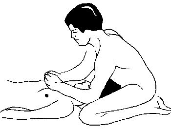 Элиза Танака - Массаж гейши. Изысканная романтика секса