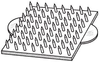 Галина Серикова - Всё о семенах овощных культур