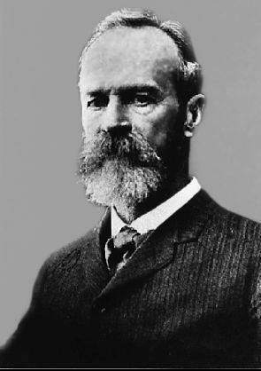 Сергей Степанов - Век психологии: имена и судьбы