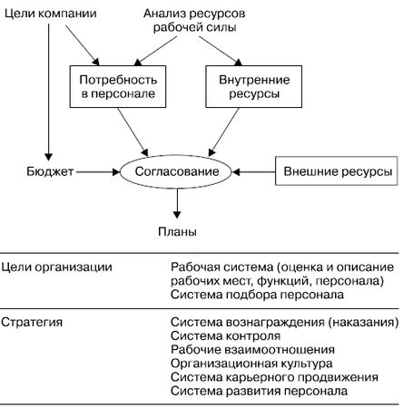 Елена Молл - Управление карьерой менеджера
