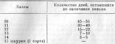 Юрий Герасимов - Ю.А. Герасимов Лисица