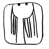 Андрей Жвалевский, Евгения Пастернак - Типа смотри короче