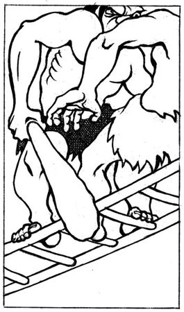 Елена Молл - Управление карьерой менеджера