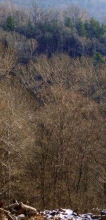 Михаил Кречмар - Полосатая кошка, пятнистая кошка