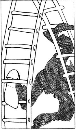 Елена Молл - Управление карьерой менеджера