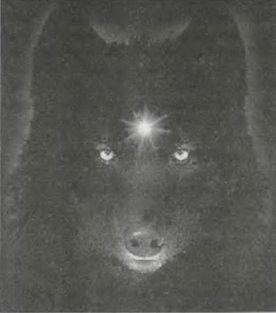 Вадим Бурлак - Стокгольм. История. Легенды. Предания