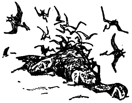 Владимир Обручев - Плутония (Художник Г. Никольский)