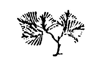 Григорий Чхартишвили, Мицуёси Нумано и др. - ОН. Новая японская проза