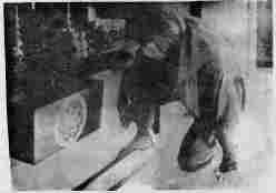 Валерий Момот - Рожденные во тьме