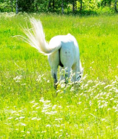 Валентина Ива - Субстанция времени