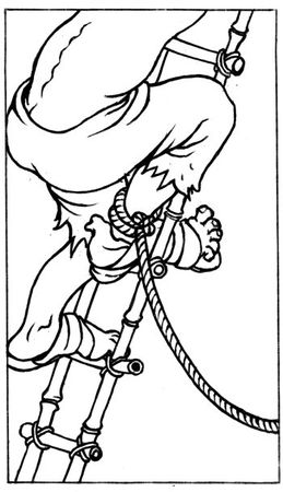 Елена Молл - Управление карьерой менеджера