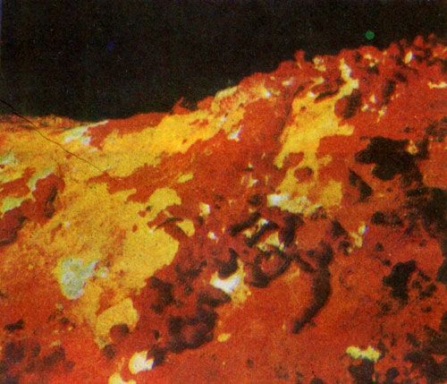 Герман Хеберляйн - Подводный мир