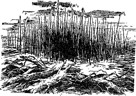 Александр Казанцев - Гость из космоса