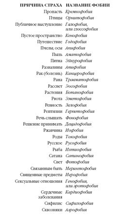 Стивен Джуан - История мозга. 1640 фактов