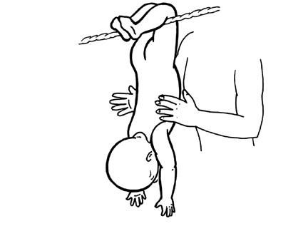 Лидия Голубева - Гимнастика и массаж для самых маленьких. Пособие для родителей...