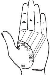 Теодор Шварц - Тайное знание. Секреты нумерологии, хиромантии, астрологии, гаданий