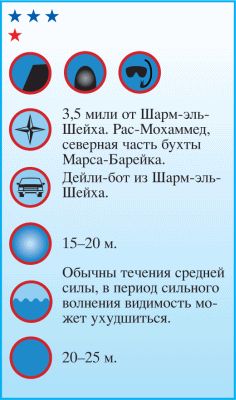 Андрей Рянский - Дайвинг. Красное море