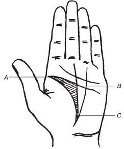 Теодор Шварц - Тайное знание. Секреты нумерологии, хиромантии, астрологии, гаданий