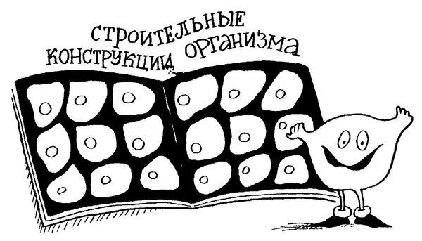 Б. Сергеев - Я познаю мир. Тайны человека