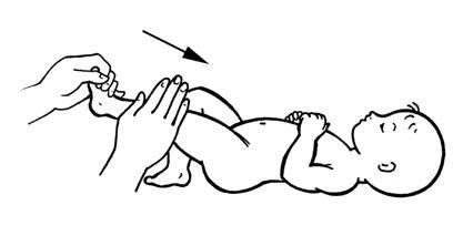 Лидия Голубева - Гимнастика и массаж для самых маленьких. Пособие для родителей...