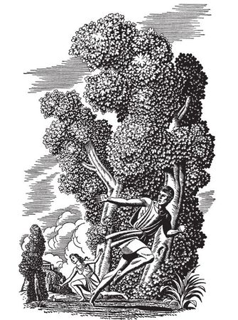 Эдит Гамильтон - Мифы и легенды Греции и Рима