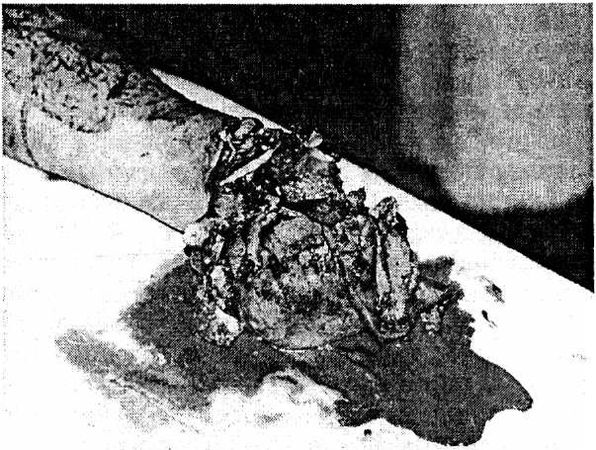 Александр Минченко - Раны. Лечение и профилактика осложнений. Учебное пособие