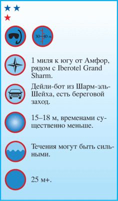 Андрей Рянский - Дайвинг. Красное море