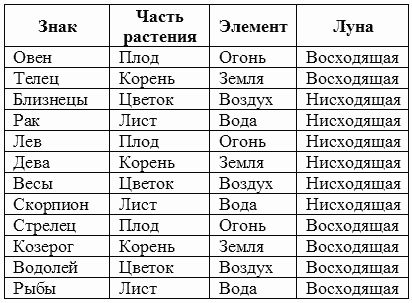 Анастасия Семенова - Луна и цветущий сад
