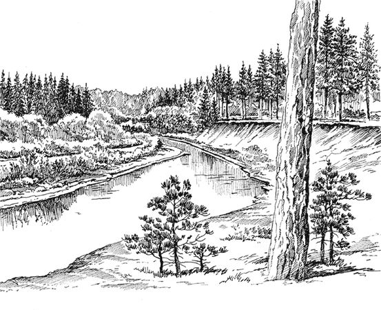 Вячеслав Чиркин - Северные были (сборник)