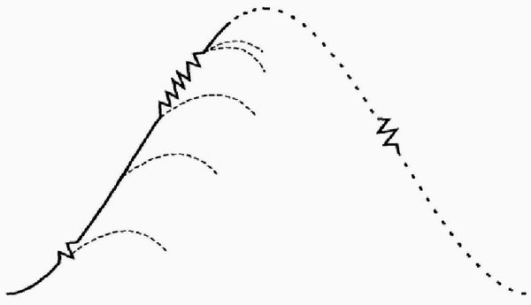 Ицхак Адизес - Управление жизненным циклом корпорации