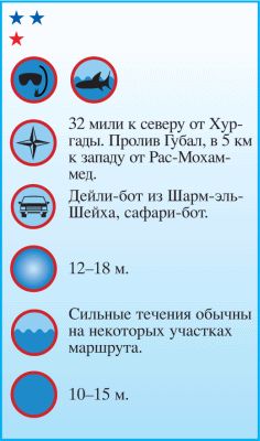 Андрей Рянский - Дайвинг. Красное море