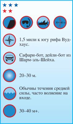 Андрей Рянский - Дайвинг. Красное море