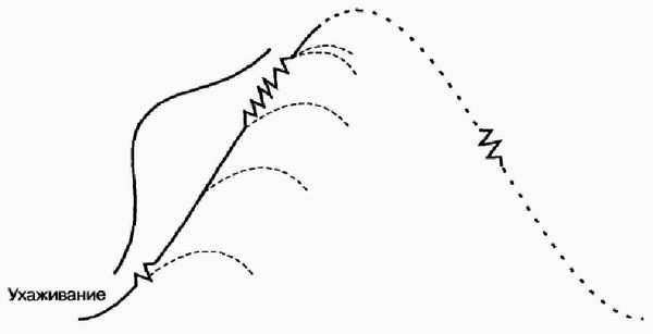 Ицхак Адизес - Управление жизненным циклом корпорации