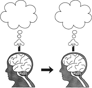 Антти Ревонсуо - Психология сознания