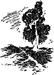 Александр Казанцев - Гость из космоса