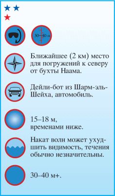 Андрей Рянский - Дайвинг. Красное море