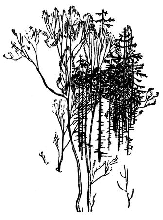 Николай Рубцов - Лирика