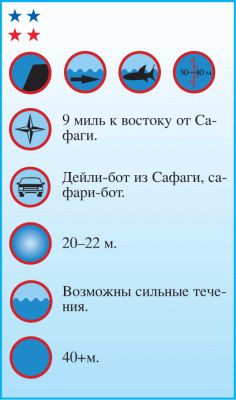 Андрей Рянский - Дайвинг. Красное море