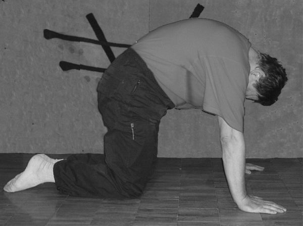 Владимир Шемшук - Встреча с Кощеем Бессмертным. Практика бессмертия