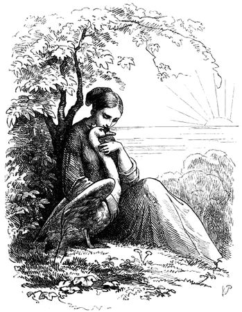 Ганс Андерсен - Дикие лебеди