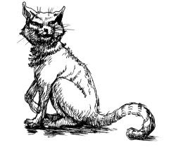 Стивен Джуан - История мозга. 1640 фактов