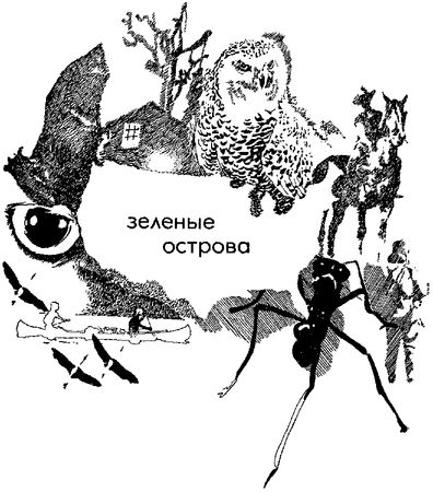 Василий Песков, Борис Стрельников - Земля за океаном