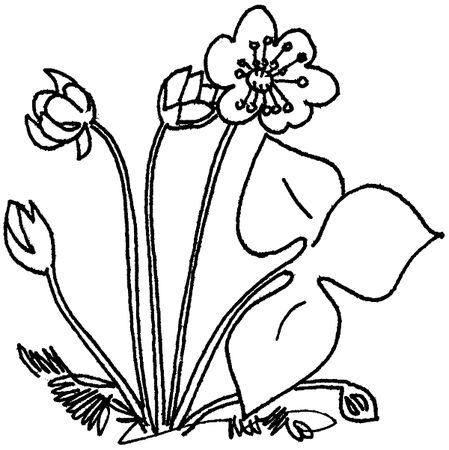 Николай Рубцов - Лирика