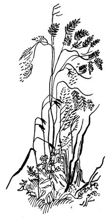 Николай Рубцов - Лирика