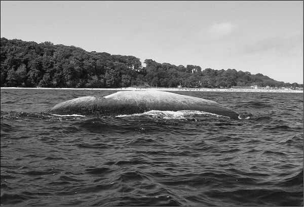 Станислав Ермаков - Предания Синих камней