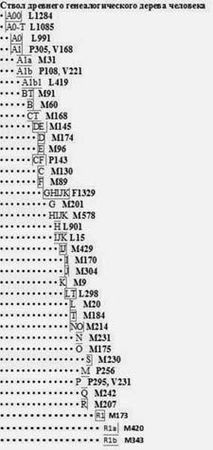 Анатолий Клёсов - ДНК-генеалогия от А до Т