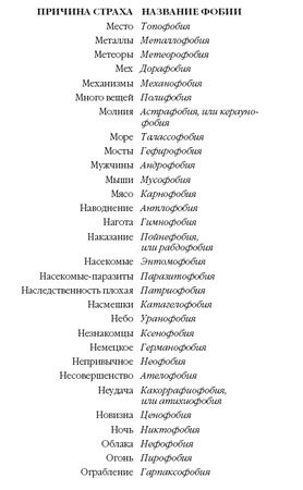 Стивен Джуан - История мозга. 1640 фактов