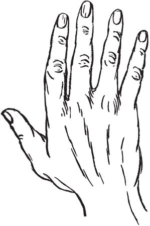 Луис Хамон - Энциклопедия хиромантии. Искусство толкования судьбы от древности...