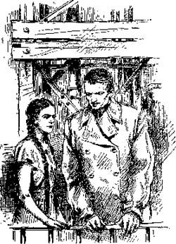 Владимир Немцов - Золотое дно