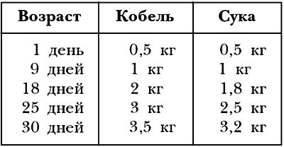 Ольга Зыкина - Немецкая овчарка